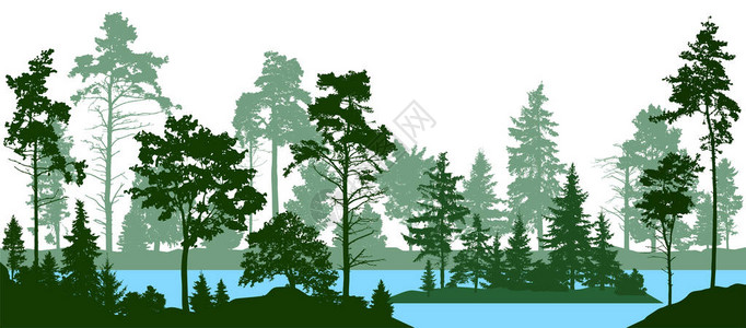 松苑原始森林公园常绿针叶林有松树杉树圣诞树松苏格兰冷杉森林剪影树湖河矢量插画
