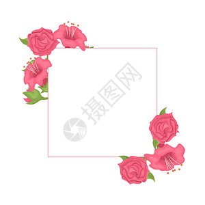 与玫瑰和郁金香的花卉框架插花矢量背景图片