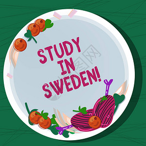 芬兰语显示在瑞典学习的书写笔记商业照片展示前往欧洲以教育目的手绘羊排香草料樱桃番茄插画