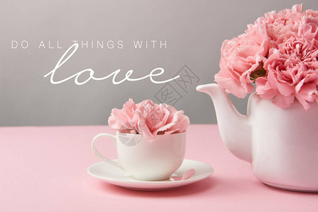 在灰色背景的茶壶和茶壶里放着粉红康乃馨花图片
