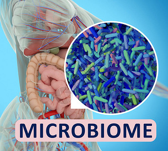 肠道细菌微生物组显微插图3D插图背景图片