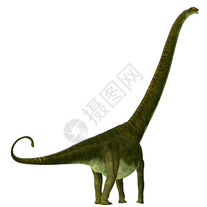 junanensis是一种草食五肢恐龙图片