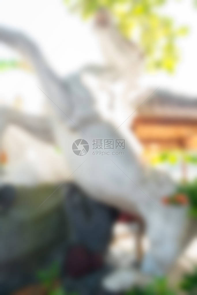 具有bokeh效果的创意抽象模糊背景及布基效应图片