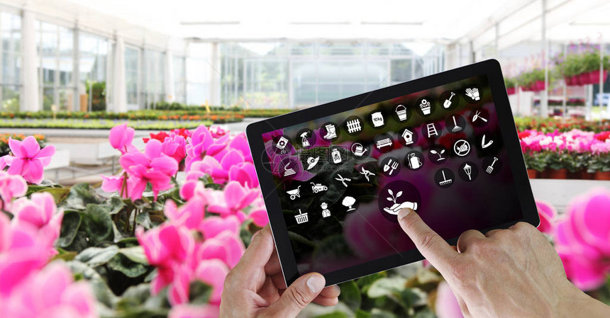 园艺设备电子商务概念数字平板电脑网上购物手指和用白色工具图标的触摸屏幕春花植物背景图片