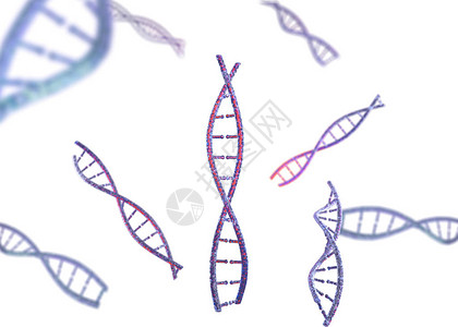 3D模型脱氧核糖酸3d渲染遗传图像图片