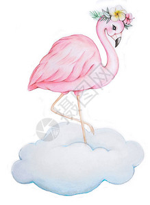 粉红火烈鸟手绘画图片