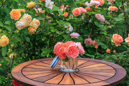 玫瑰花园的浪漫坐地圆木桌和椅子图片
