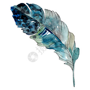 五颜六色的鸟羽毛从孤立的翅膀水彩背景插图集水彩画时尚水彩画孤立孤立的图片
