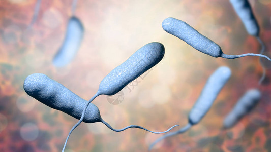 能动的细菌创伤弧菌设计图片