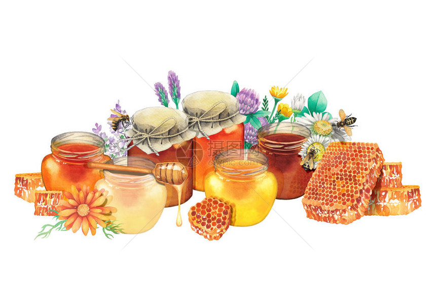 由蜂窝花和蜜蜂环绕着不同种类蜂蜜的水彩瓶子图片