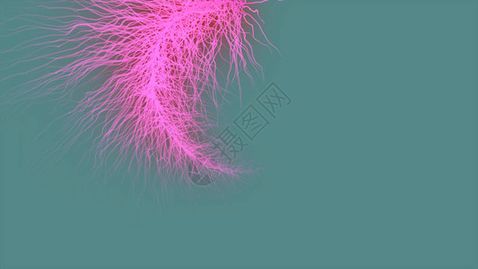 粒子不对称分支形网络神经神经元血管毛细血管生长图片