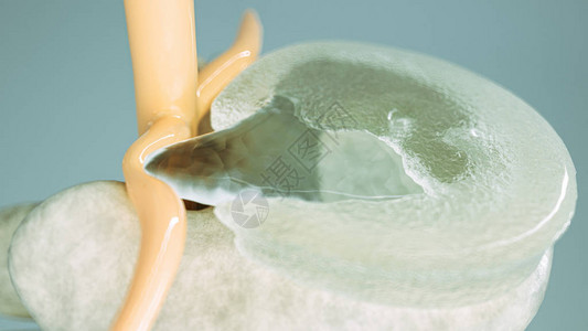 椎管3D详细显示的特写设计图片