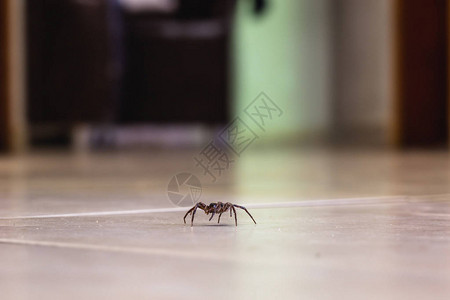 从住宅楼层的地面看光滑瓷砖地板上的图片