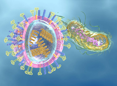 医学上显示传染病的3D插图图片