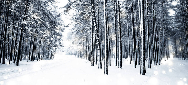 下雪景观贺卡设计和新年前夜旅行概念图片