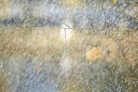 秋雨背景下降雨天抽象秋季景观公图片
