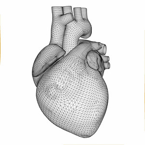 低多边形型的多角人类心脏无线框架概图片