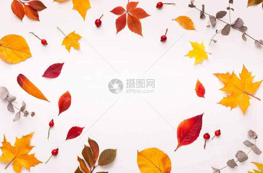 彩色落下的叶子形成白背景复制空间图片