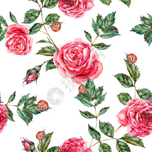 红玫瑰有鲜花叶芽和蜗牛的自然纹理白底植物图解等无缝模式图片