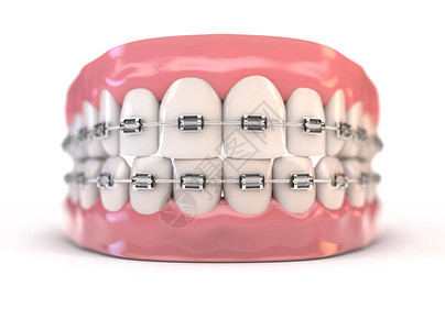 林芝阿加一对完美的人类牙齿上下组设计图片