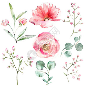 葵花点穴手粉红色花叶和树叶的画摘要插图设计卡片和可爱插画