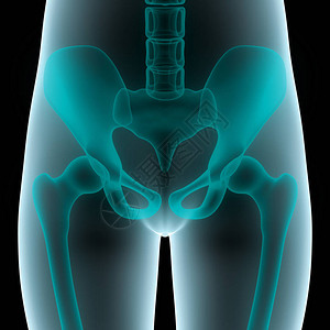 人体骨共同痛苦Hip和Pelvis图片
