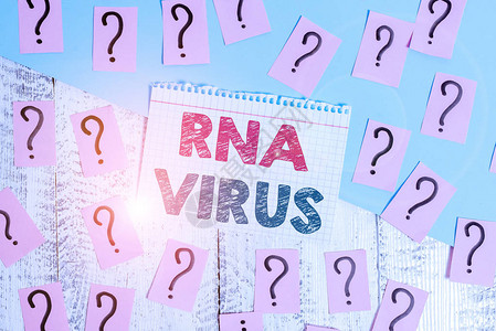 显示Rna的文本符号展示遗传信息的商业照片以RNA涂鸦和碎纸的形式存储插画