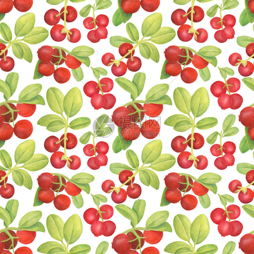 水彩越橘无缝模式手绘分支与红色浆果和白色背景上的叶子用于设计卡片壁纸包装纺织品食品包图片