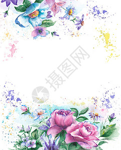 春草春花边框彩色粉红玫瑰蓝花和涂料冲浪请柬的浪漫水彩春花框架背景插画
