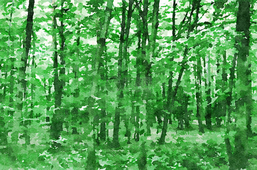 数字艺术绘画布绿色制层抽象红树林图片