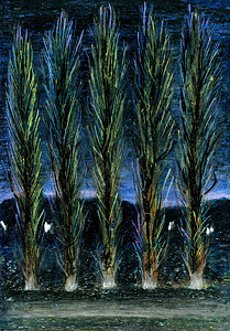 与树木的夜景杨树在日落和森林覆盖的小山的背景下用于画册的设计封面艺术插图和背景图片