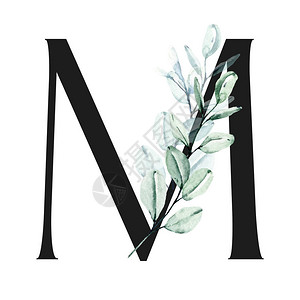 水彩画带花叶和花叶的字母M图片