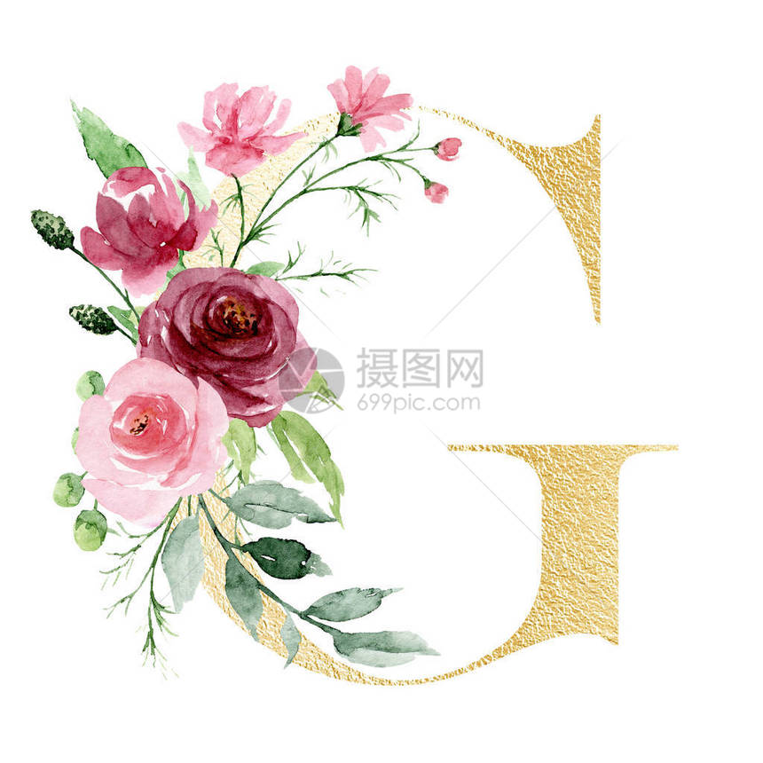 水彩画带花叶和花叶的字母G图片