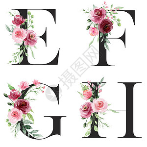 花卉字母字母EFGH创图片