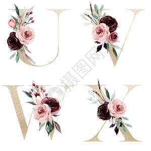 花卉字母字母UVWX创图片