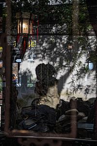 上海豫园桃花具有竹叶轮廓阴影的玻璃表面模糊反射的抽象背景插画