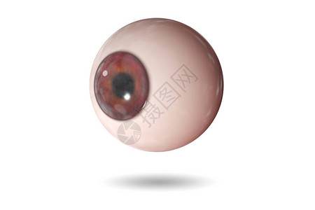 医学概念中的眼睛插图3d渲染图片