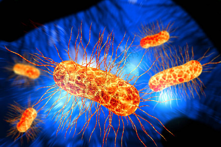 枯草杆菌健康科学背景3D插图中也称为生态细菌的设计图片
