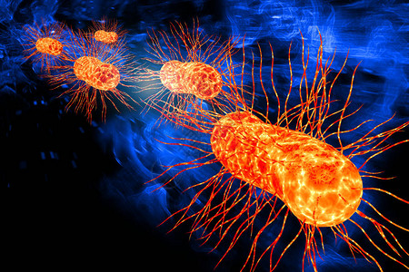 健康科学背景3D插图中也称为生态细菌的图片