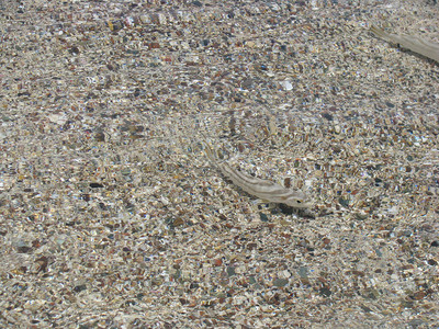 红海沙背景下沿海水域抽象自然背景小鱼图片