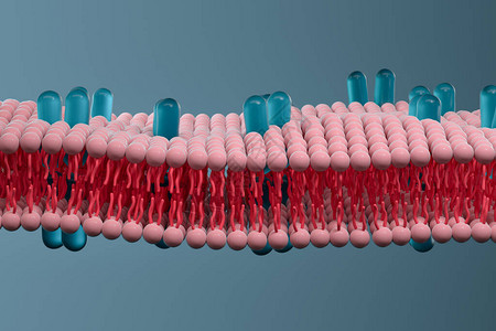 细胞膜和生物学生物概念3D成像计图片