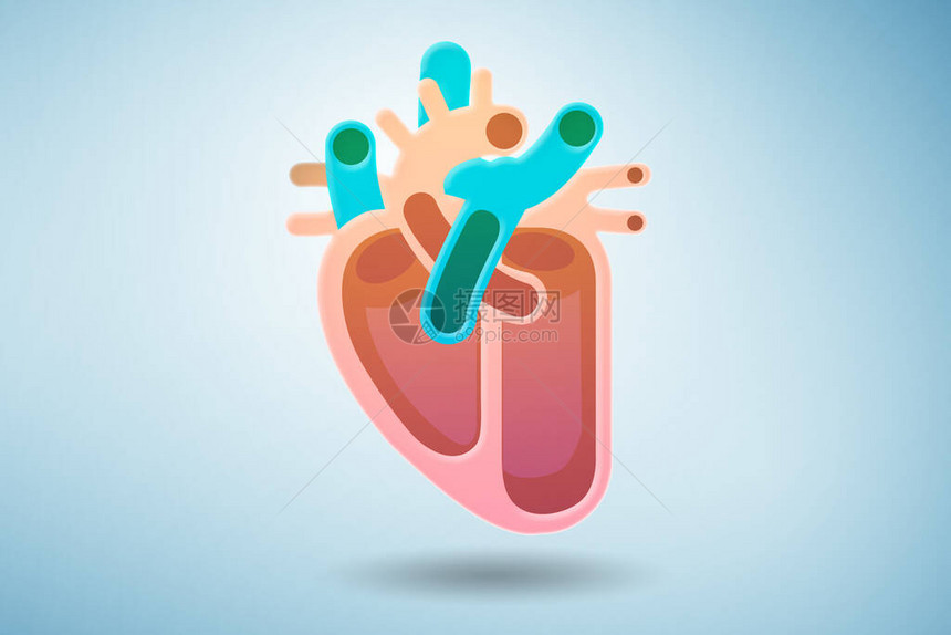 医疗概念中的人类心脏插图图片