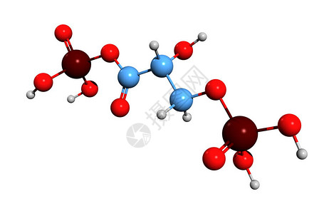 代谢物BPG分子化学结构1插画