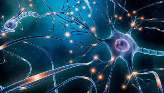 躯体具有神经元细胞电活动的神经元网络3D渲染插图神经科学神经学神经系统和冲动大脑活动微生物学概念设计图片