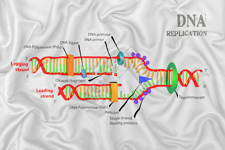 遗传信息丝绸派织物纹理上的DNA插画