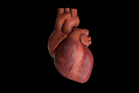 心包积液人类跳动3d渲染设计图片