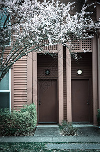 排户入吾室春天樱花盛开的美国华盛顿州西雅图郊区典型联排别墅的模糊抽象门口入复式房屋的五颜六色的红色壁板与盛开插画
