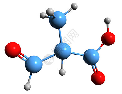 甲乙丙2甲基3氧代丙酸骨架式的3D图像在白色背景下分离的甲基丙二酸半醛的设计图片