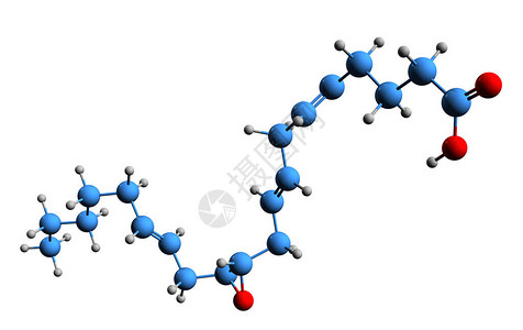 贵州醇12环氧二十碳三烯酸骨架式的3D图像在白色背景下分离的11设计图片