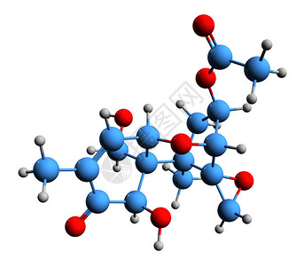 乙酰水杨酸3乙酰脱氧雪腐镰刀菌烯醇骨架式的3D图像在白色背景下分离的霉菌毒素脱氧雪腐镰刀菌烯醇单乙酸酯的设计图片